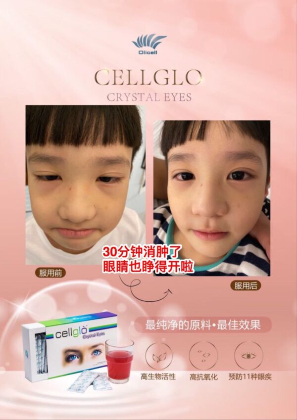 Cellglo CE Eyes Powder 水晶眼睛 2 Boxes Cellglò