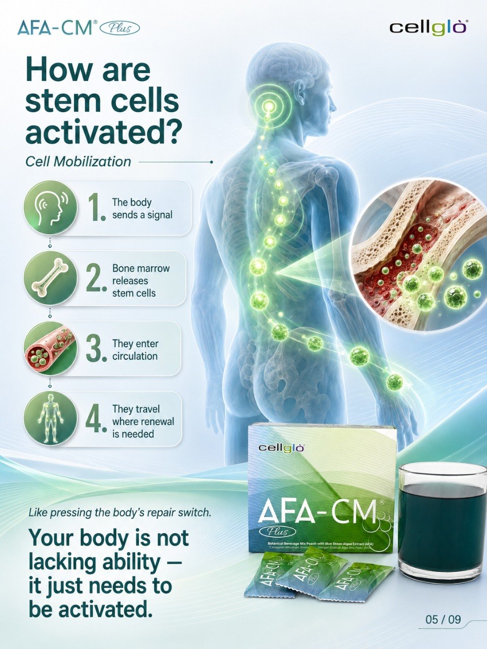 Cellglo AFA-CM Plus